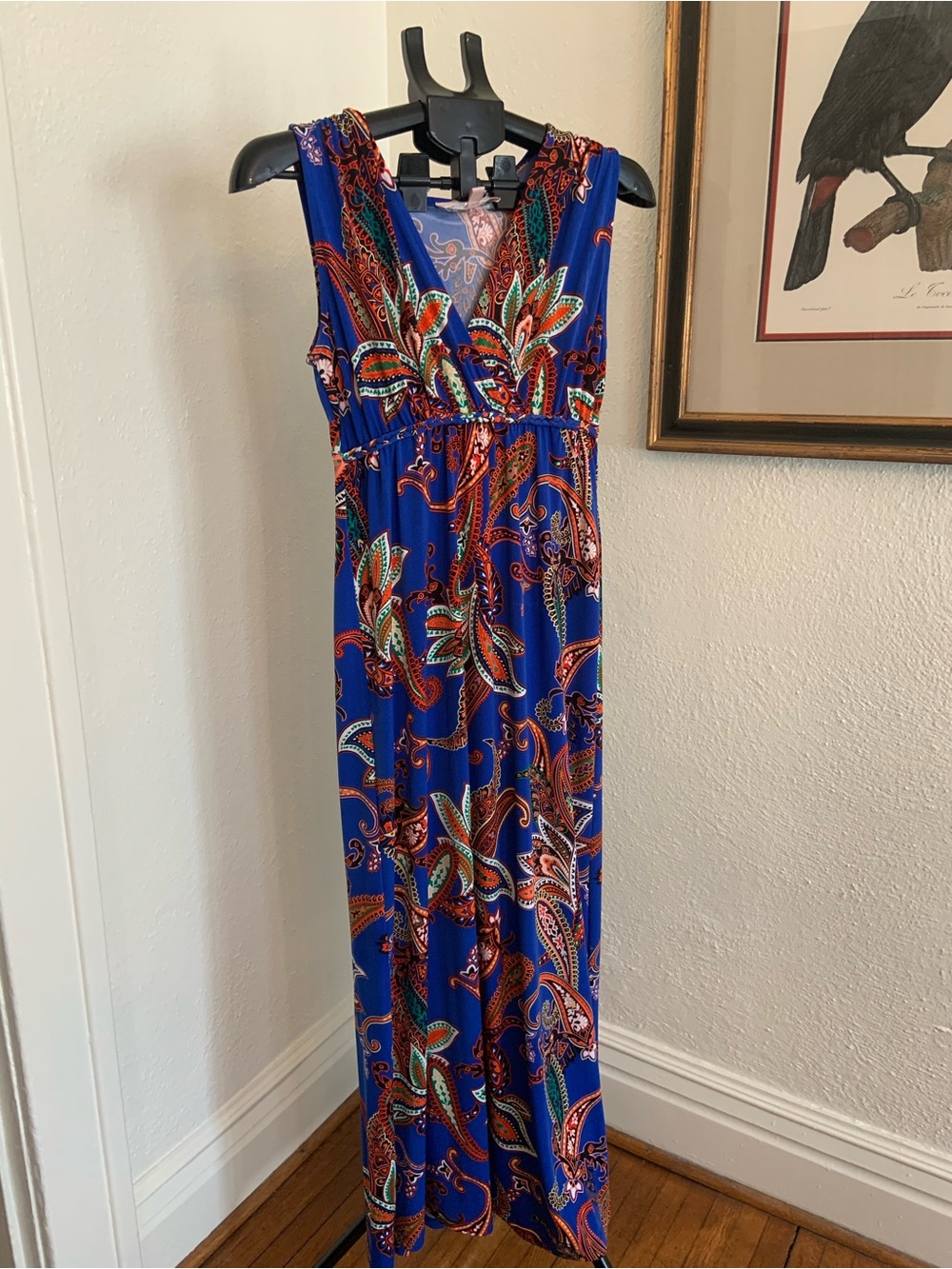 Philosophy Sleeveless Maxi Dress